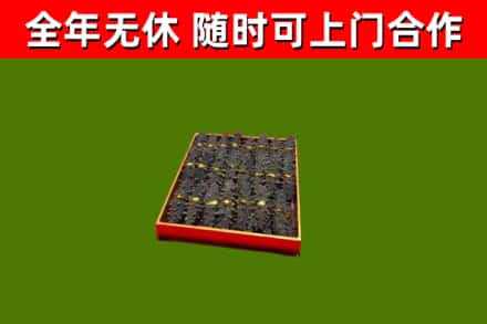 龙亭回收海参